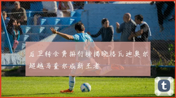 后卫转会费排行榜揭晓格瓦迪奥尔超越马奎尔成新王者