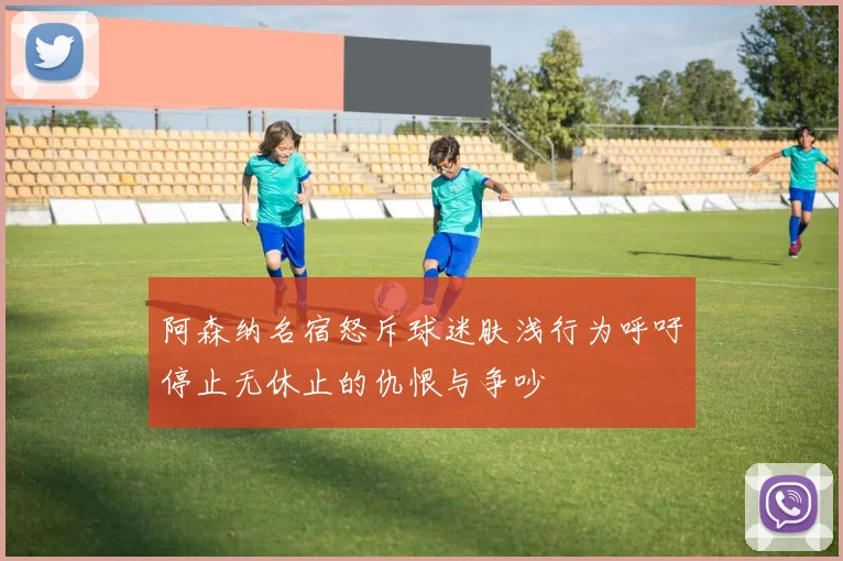 阿森纳名宿怒斥球迷肤浅行为呼吁停止无休止的仇恨与争吵